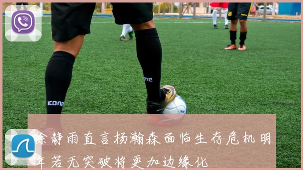 徐静雨直言杨瀚森面临生存危机明年若无突破将更加边缘化