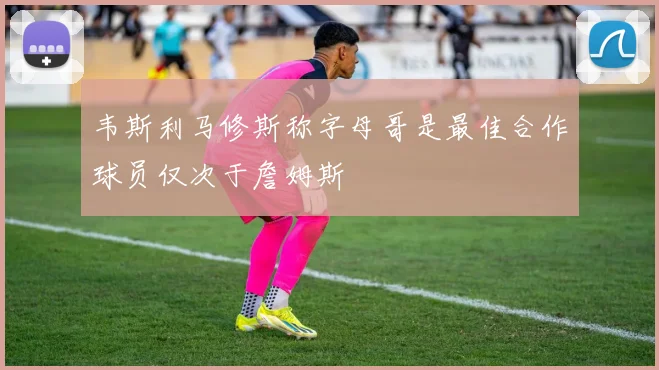 韦斯利马修斯称字母哥是最佳合作球员仅次于詹姆斯