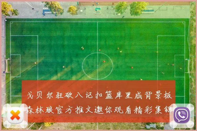 戈贝尔狂砍八记扣篮库里成背景板森林狼官方推文邀你观看精彩集锦