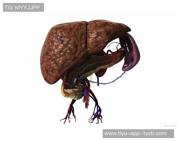 杜埃伤情乐观无需手术恢复时间预计为六到八周